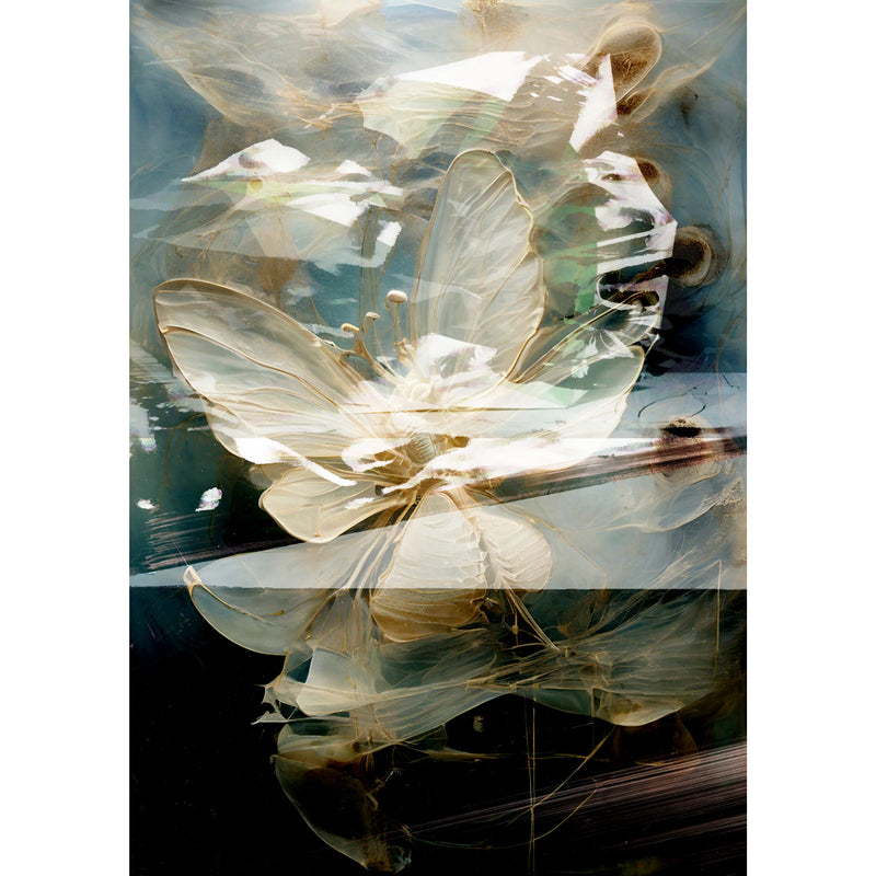 浮遊芳香器（銀塩写真）