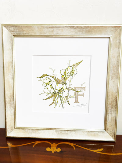 FP‐Line【 胡蝶蘭　Happiness comes flying】