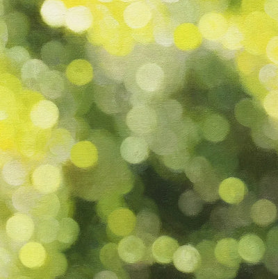 Forest Birds #8 (森に棲む鳥 #8)