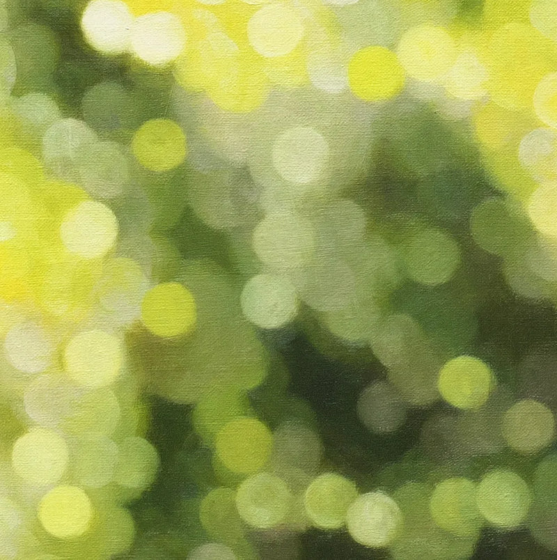 Forest Birds 