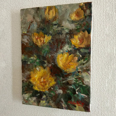 福寿草