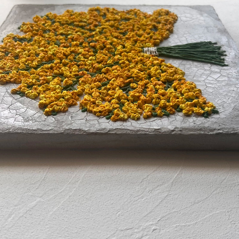 mimosa 3