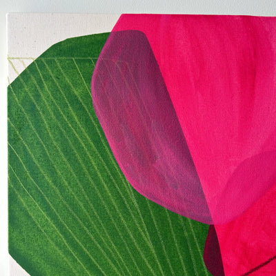Bougainvillea#001