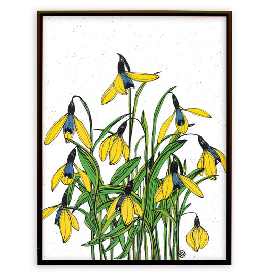 Yellow Galanthus No.266