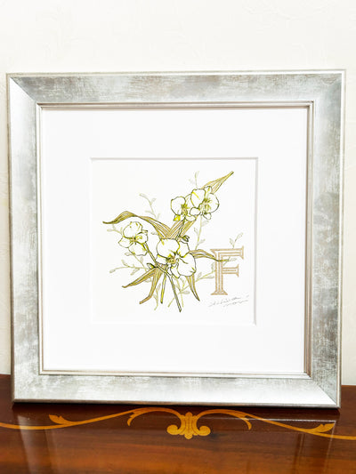 FP‐Line【 胡蝶蘭　Happiness comes flying】