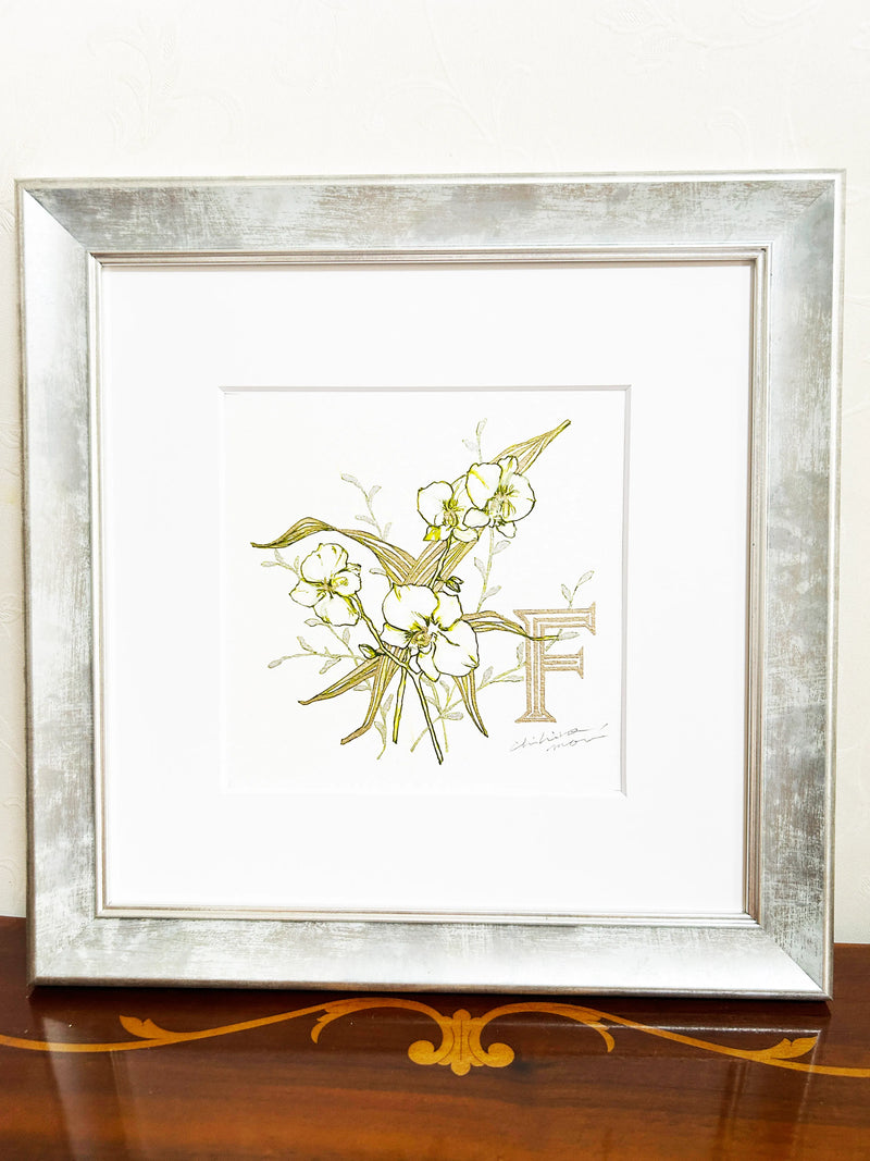 FP‐Line【 胡蝶蘭　Happiness comes flying】