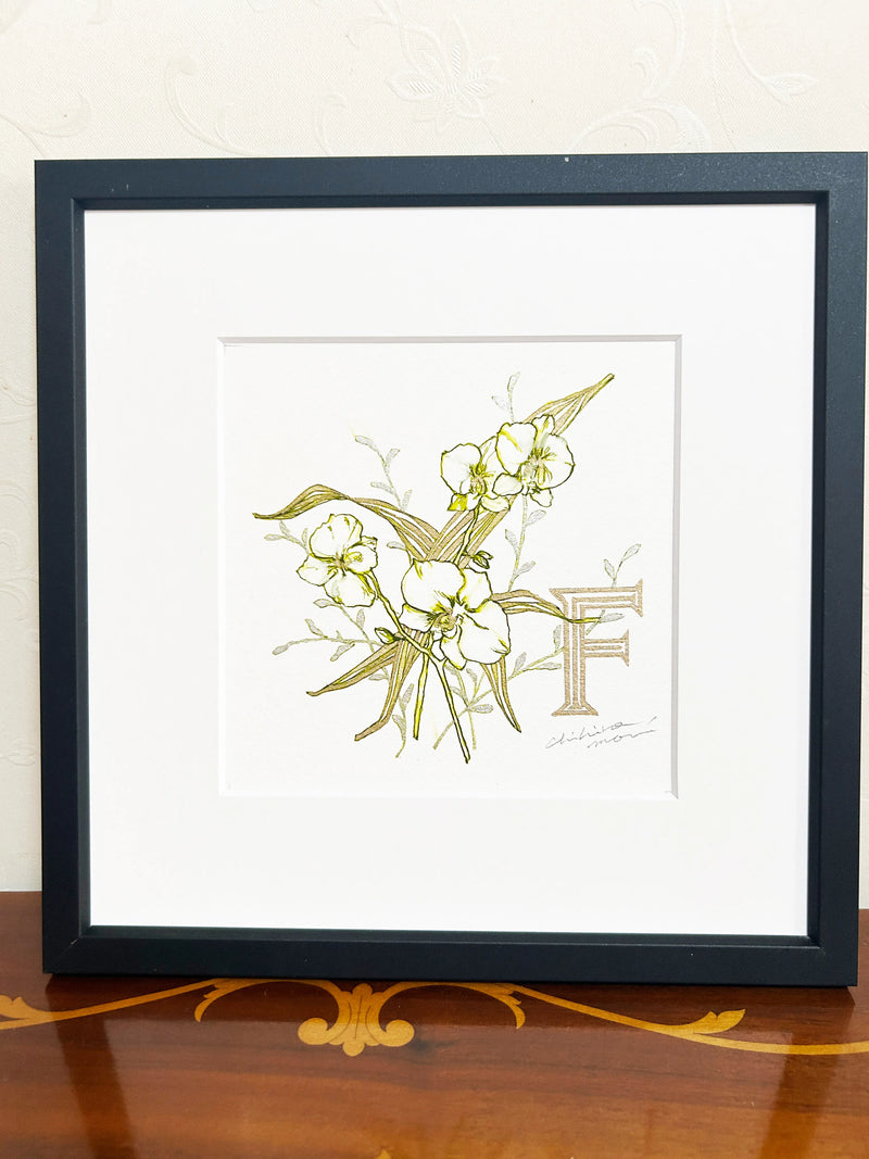 FP‐Line【 胡蝶蘭　Happiness comes flying】