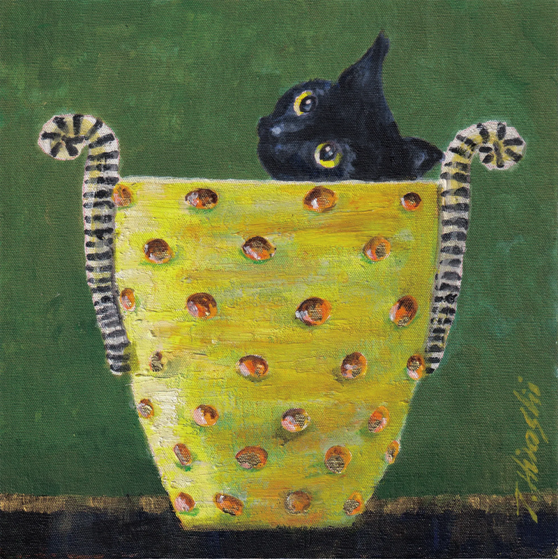 244-Cat in pot