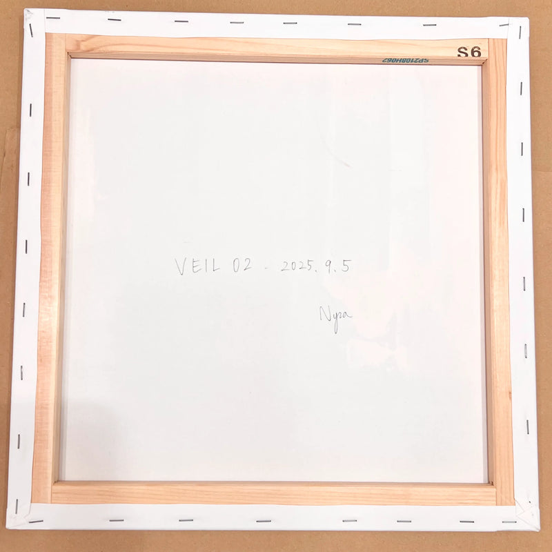 VEIL 02