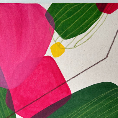 Bougainvillea#001