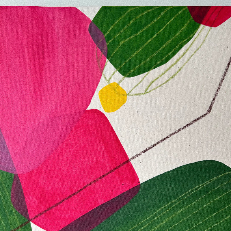Bougainvillea