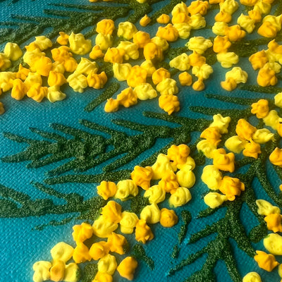 mimosa