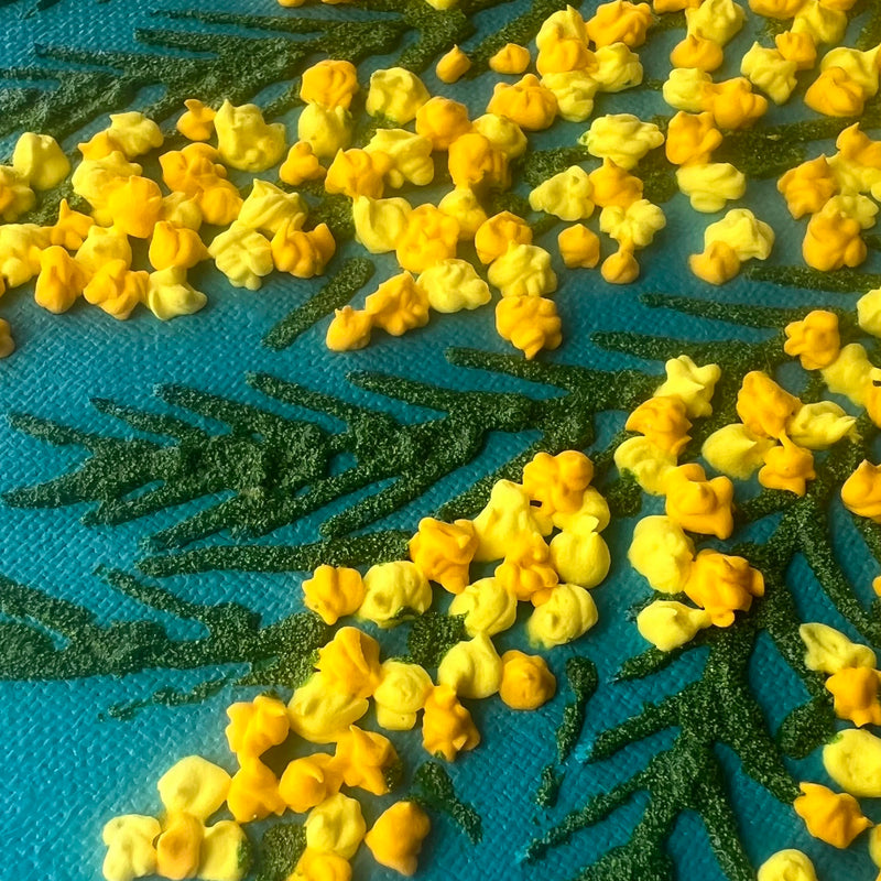 mimosa