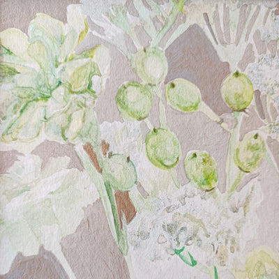 white and green flowers1