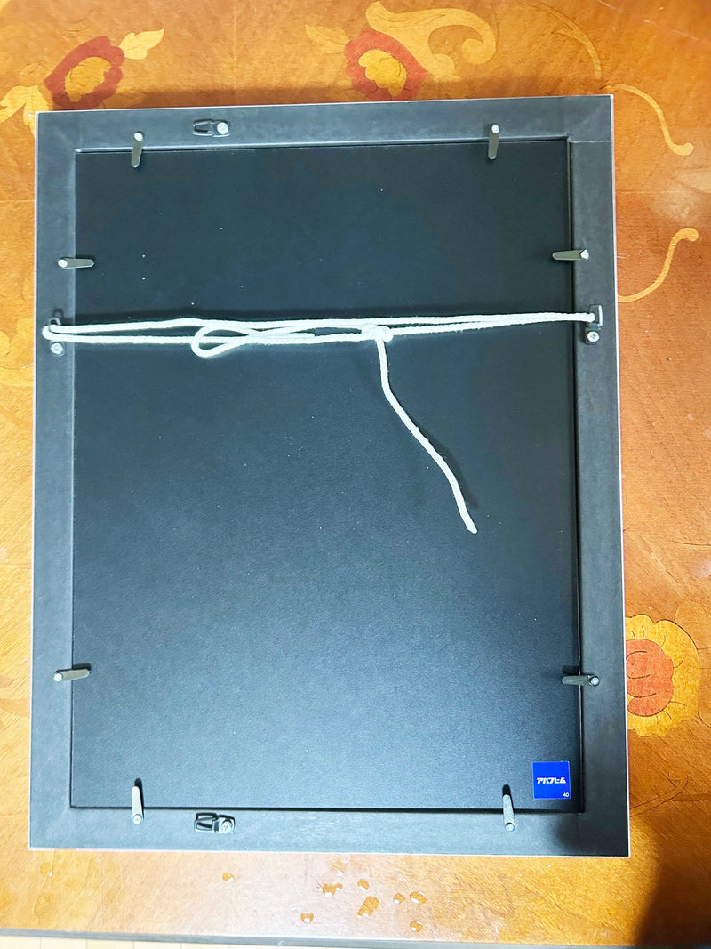 FP‐Line【 アバカンサス　Sincere love】