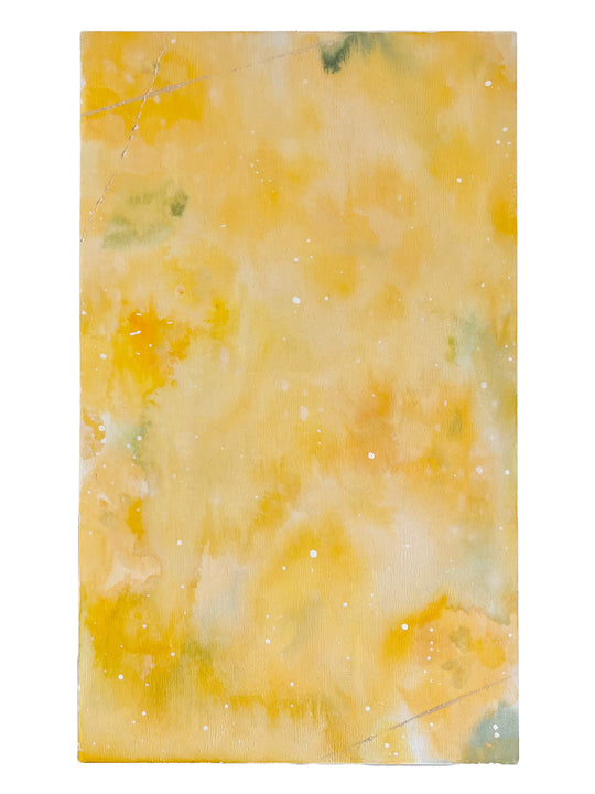 FLOWER FIELDS 2302141