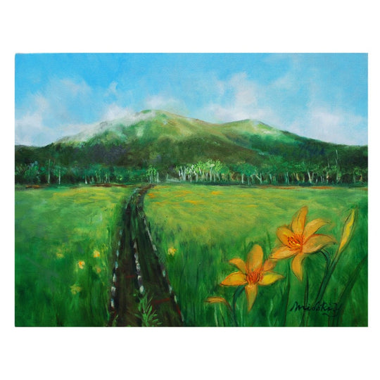 至仏山とニッコウキスゲ