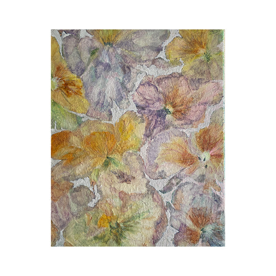 PANSY