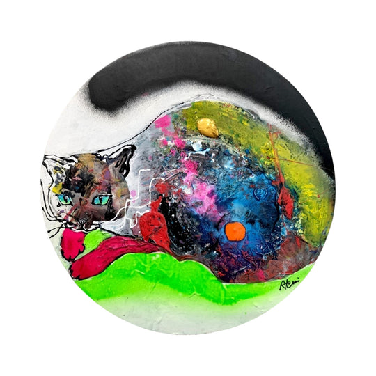 宇宙を持つ猫