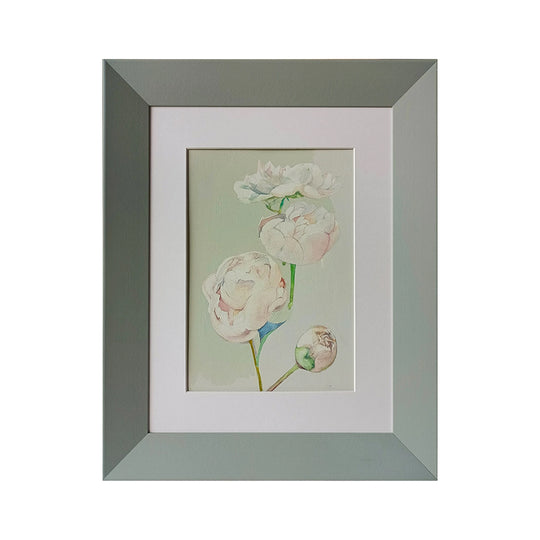 Peony season 1-11