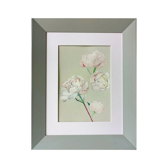 Peony season 1-12