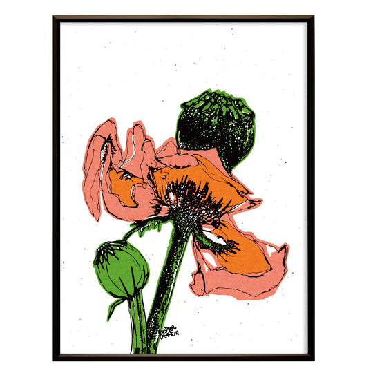 Dying poppiesr No.166 【枯れゆくポピー】