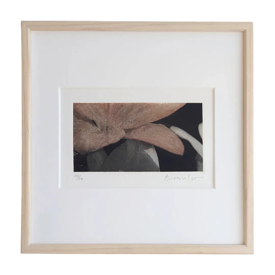 Afternoon #4 （赤く咲く）