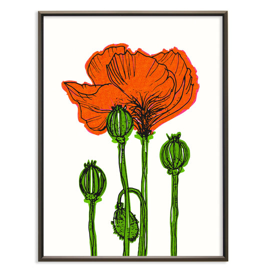 Orange poppies No.129