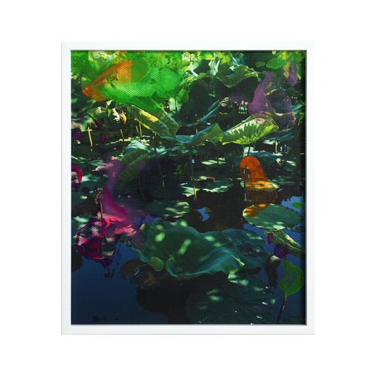 nature "lotus flowers 01"