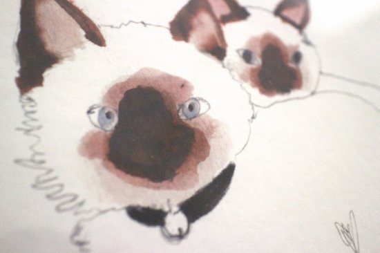 シャムねこ【アートプリント】