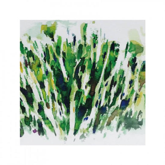 街路樹のためのドローイング#6