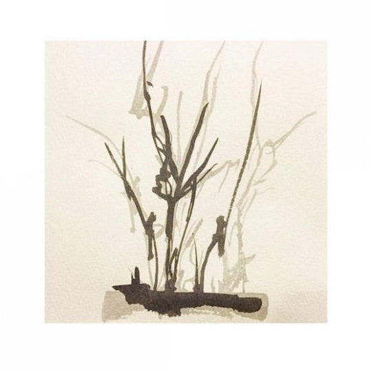 街路樹のためのドローイング 水墨の場合#1