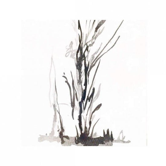 街路樹のためのドローイング 水墨の場合#3(M)