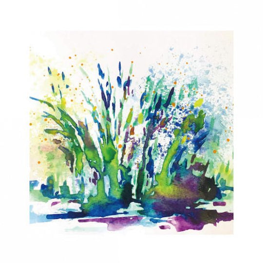 水草のためのドローイング #1