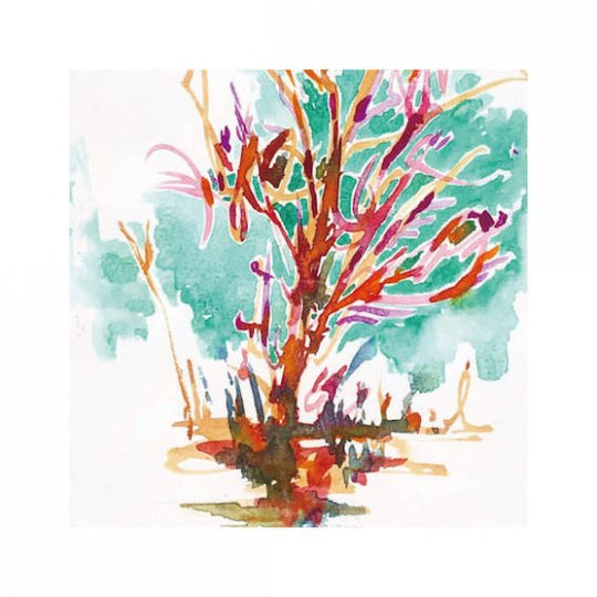 水草のためのドローイング #3