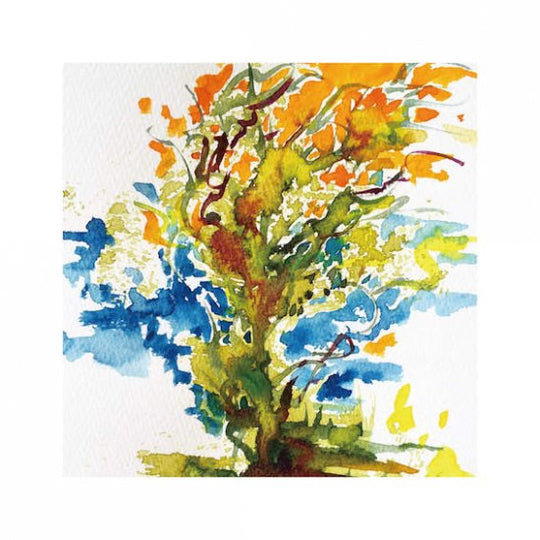 水草のためのドローイング #6(M)