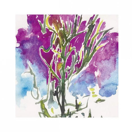 水草のためのドローイング #8