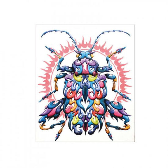 モモブトオオルリハムシ