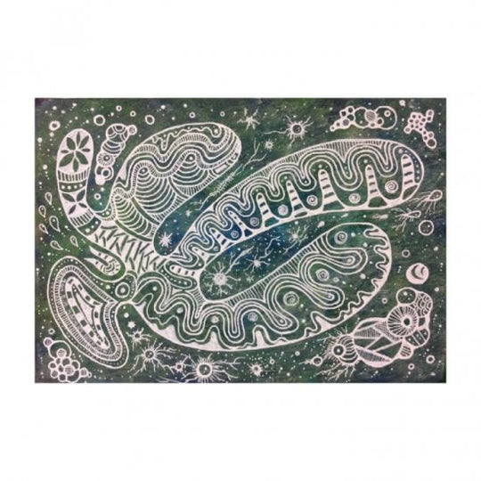 心の欠片　海緑