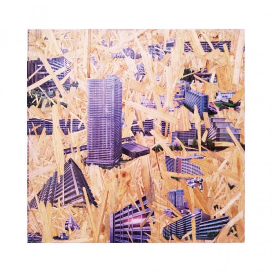 fast-woods-redpine-1 (M) | 都築崇広