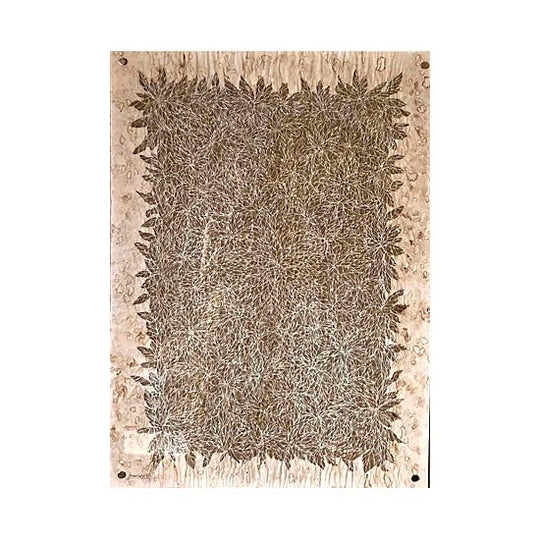 11 :  las hojas . Transparente