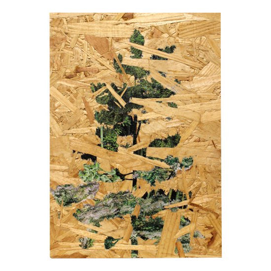 fast-woods-Aspen-2(M)