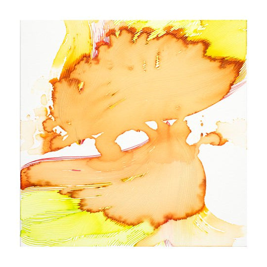 trace of surface #46