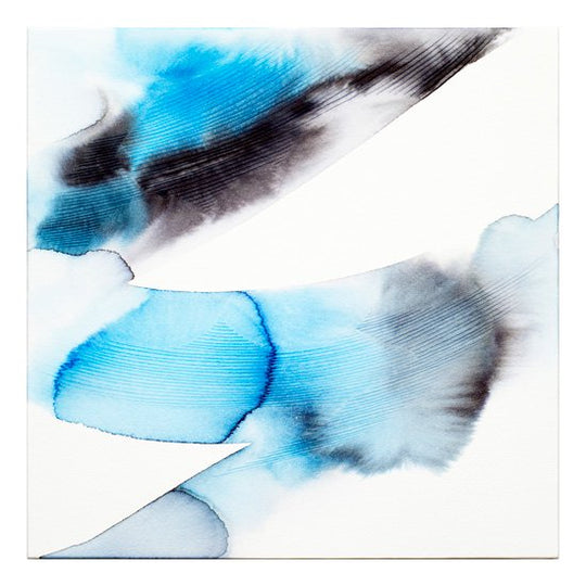 trace of surface #74