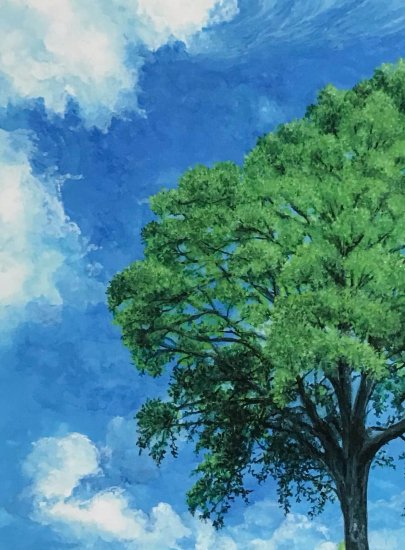空と木