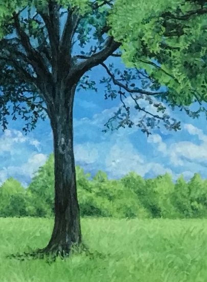 空と木