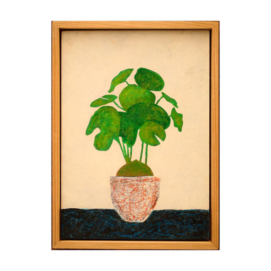 Stephania Erecta#1＿NO.96