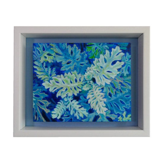 蒼い灯火、シロタエギク