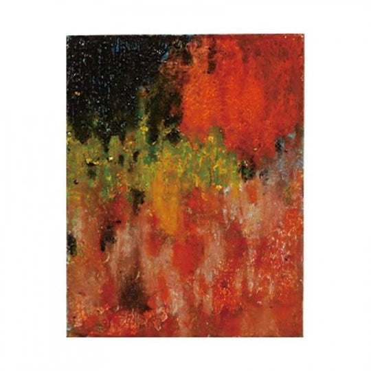 ティコの木漏れ日＃14 (S)