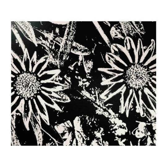 The Selfish Gene #1 (M)